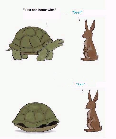 Turtle Won The Race Again,Turtle,Won The Race Again,rabbit,slow and steady win the race