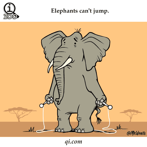 Elephants Cant Jump,science facts,facts,jumps,elephant